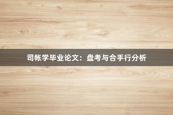 司帐学毕业论文：盘考与合手行分析